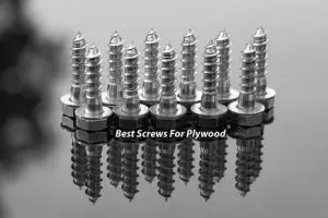 Best Screws For Plywood