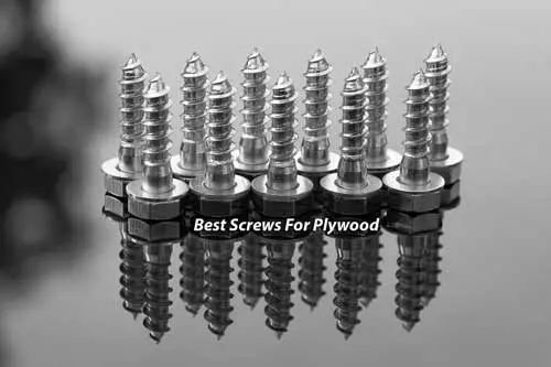 Best Screws For Plywood